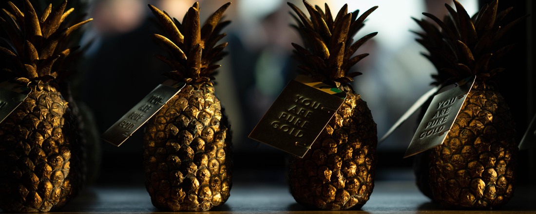 The Pineapples awards 2025: New partners announced as entry deadline nears