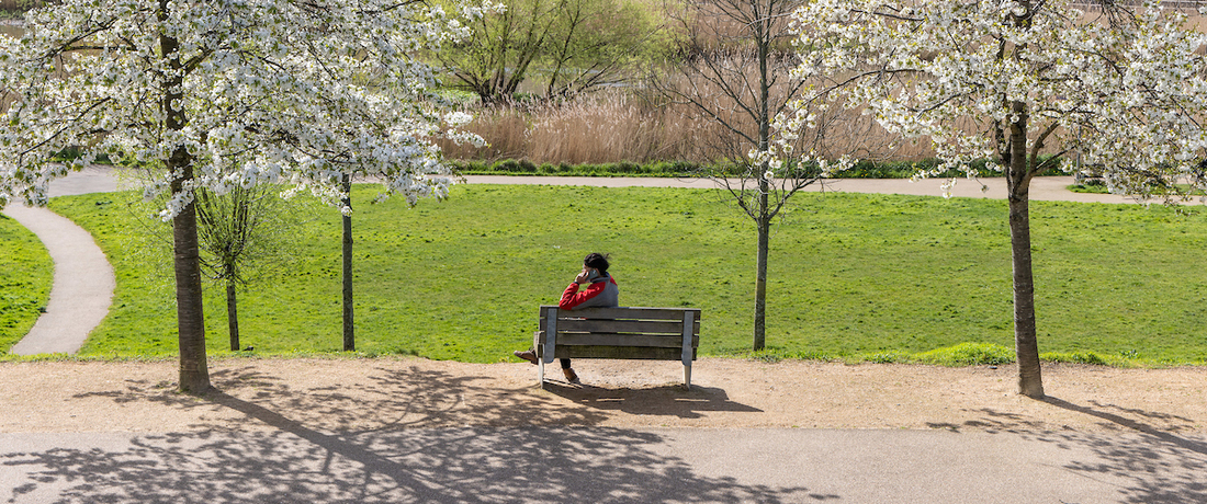 Placetest: Queen Elizabeth Olympic Park