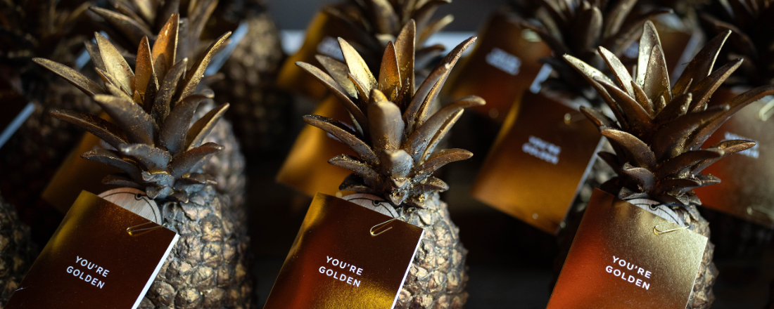 Entries are open for The Pineapples awards for place 2026