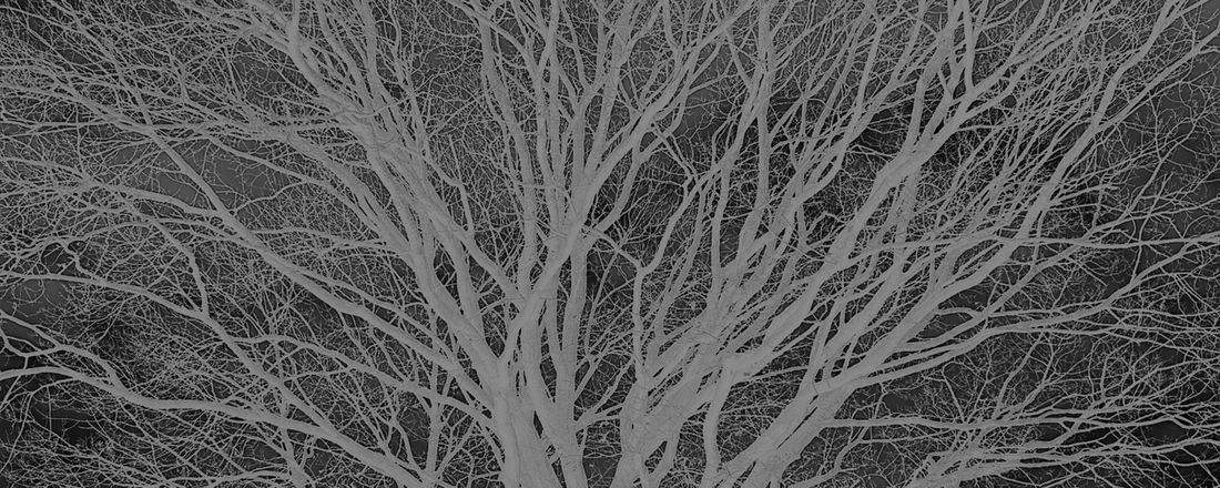 The community came together to stop flooding &ndash; and failed: &ldquo;There is only one winner from all of this&rdquo;