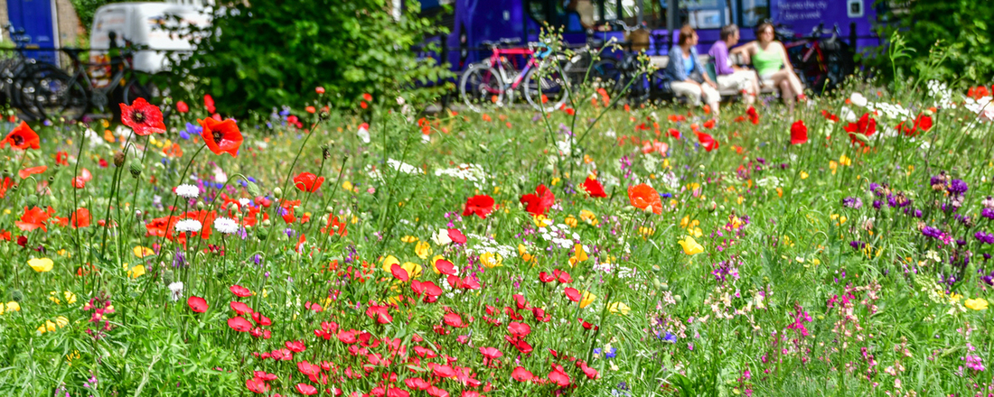 Biodiversity Net Gain: Government exempts sites under 0.2ha